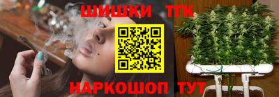 мдпв Обь
