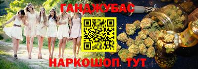 мдпв Обь
