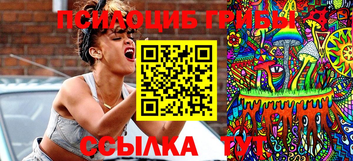 Псилоцибиновые грибы Psilocybine cubensis  Вход с VPN  Ачинск 